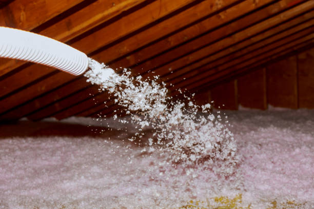 Best Insulation Contractors for Homes  in Fairview, TN