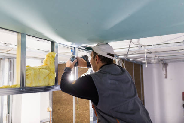 Best Wall Insulation Contractor  in Fairview, TN